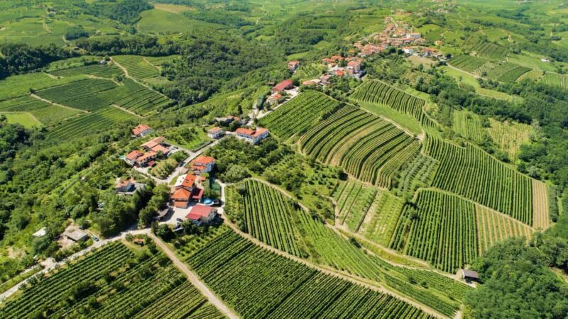 Ljubljana: Karst and Gorika Brda Tour with Lunch & Tastings - A Detailed Look at the Experience