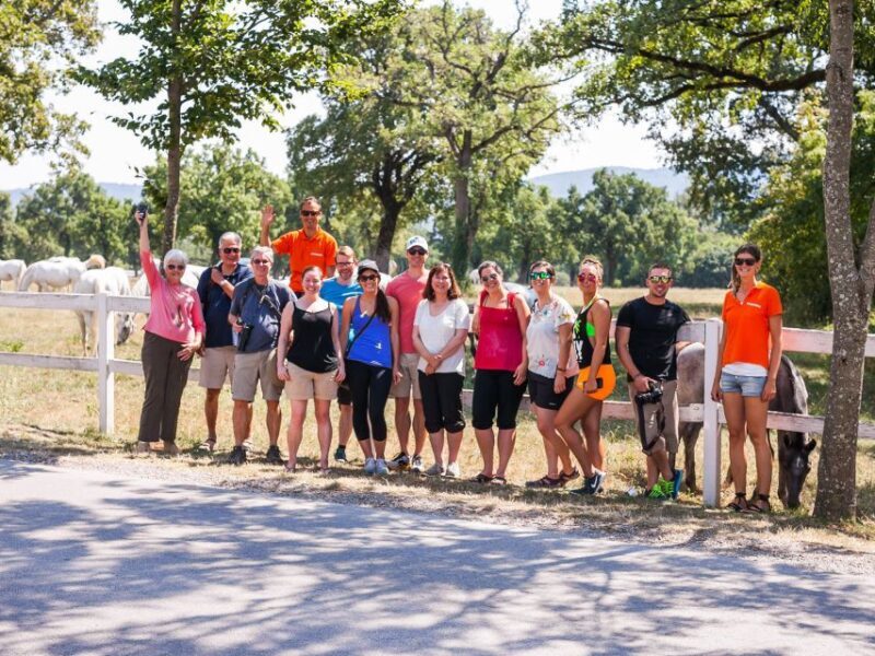 Ljubljana: Karst & Coast Full-Day Trip - The Itinerary — What You’ll Actually Do