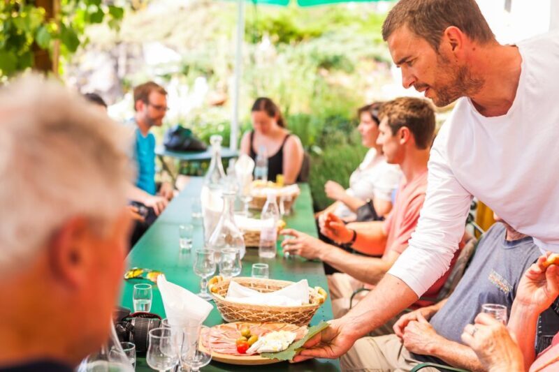 Ljubljana: Karst & Coast Full-Day Trip - Who Is This Tour Best For?