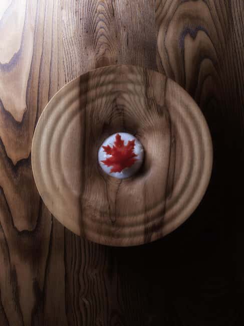 Ljubljana: Michelin Star Experience, dinner and tour - Frequently Asked Questions