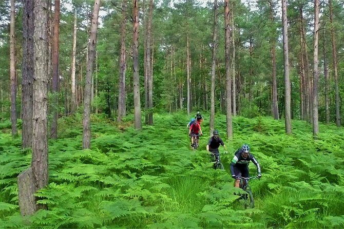 Ljubljana MTB capital - References