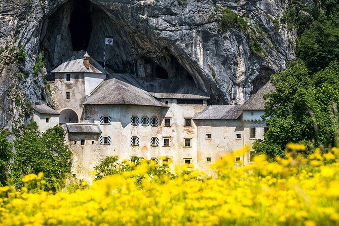 Ljubljana: Postojna cave & Predjama castle small group tour - The Value of the Experience