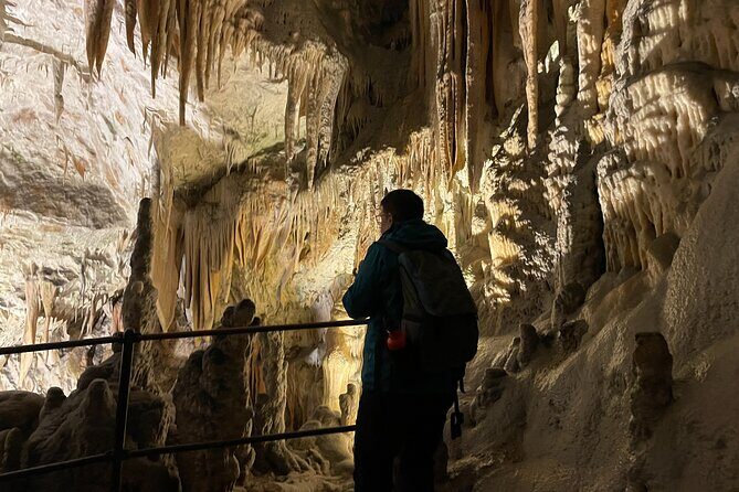 Ljubljana, Postojna Cave&Predjama Castle with Tickets from Zagreb - Ready for your Slovenian adventure? This tour might be just the perfect start — or a fantastic highlight of your trip. Either way, you’ll come away with memorable sights and stories to tell.