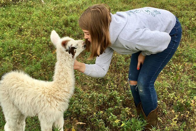 Llama/Alpaca Hike and Farm Tour - Introducing the Llama/Alpaca Hike and Farm Tour