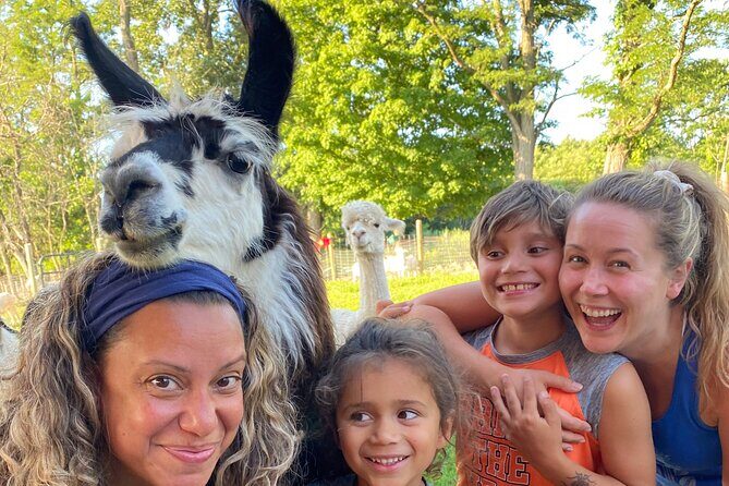 Llama/Alpaca Hike and Farm Tour - Analyzing the Value