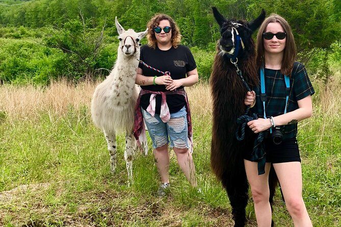 Llama/Alpaca Hike and Farm Tour - Who Will Love This Tour?