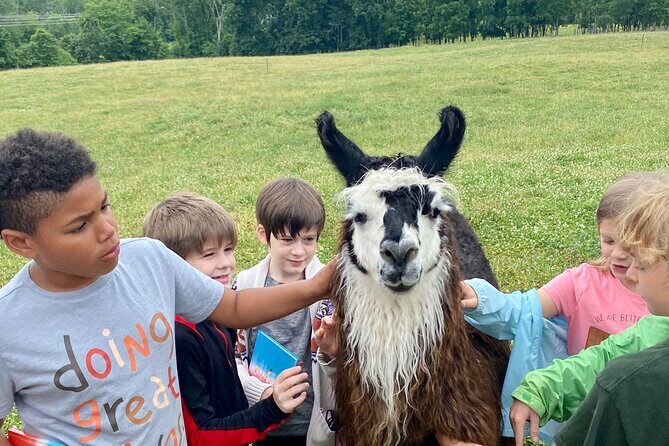 Llama/Alpaca Hike and Farm Tour - Final Thoughts: Is This Experience Right for You?