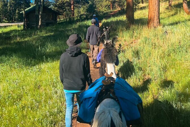 Llama to Lunch in the Rocky Mountains - Key Points