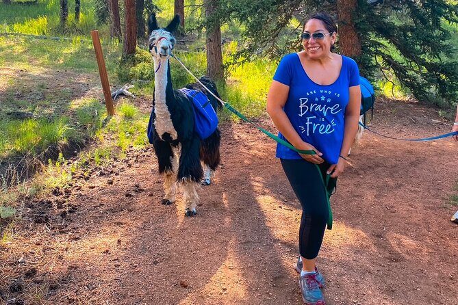 Llama to Lunch in the Rocky Mountains - Is This Tour Worth the Price?