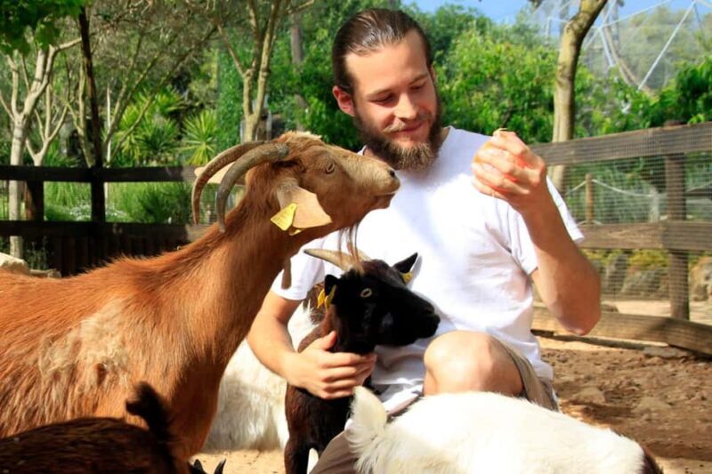 Lloc de Menorca Animal Park: Wildlife & Nature Experience - Lloc de Menorca Animal Park: Wildlife & Nature Experience
