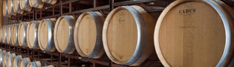 Llucmajor: Bodegas Bordoy Wine Tour - What the Tour Entails: An Honest Breakdown