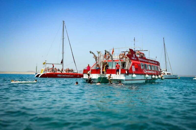 Lobos Island: Ferry + Mini Submarine Cruise + free time - Final Thoughts: Who Should Book This?