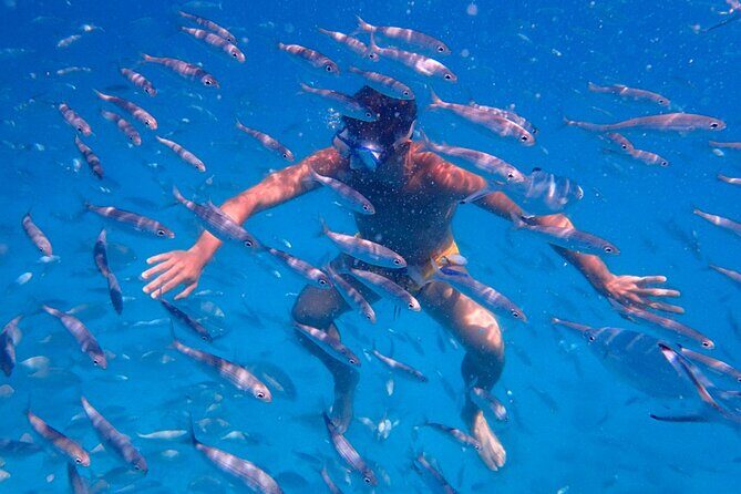 Lobos Island Ferry with Snorkel from Corralejo, Fuerteventura - Authentic Traveler Reviews