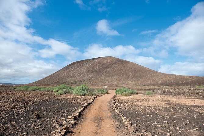 Lobos Island Ferry with Snorkel from Corralejo, Fuerteventura - Who Is This Tour Best Suited For?