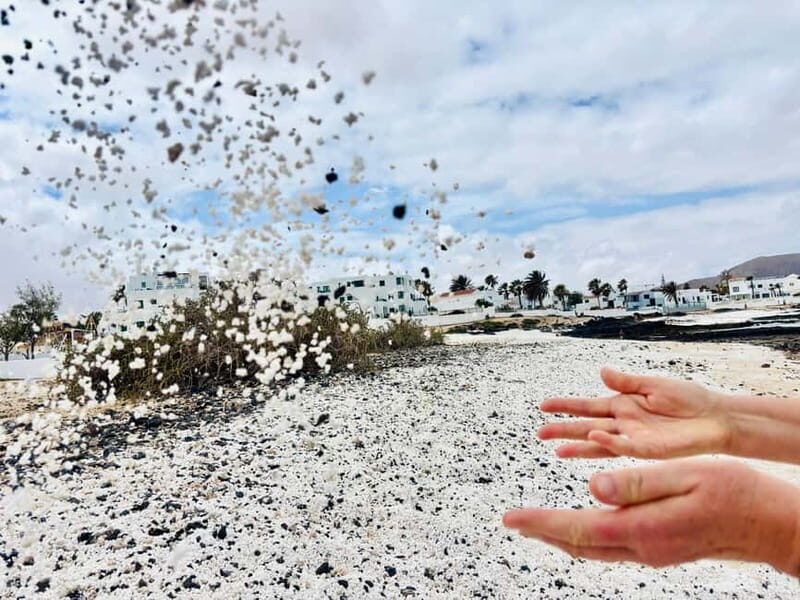 Lobos,Dunes,Popcorn Beach: small 8 persons group with guide! - A Deep Dive into the Experience