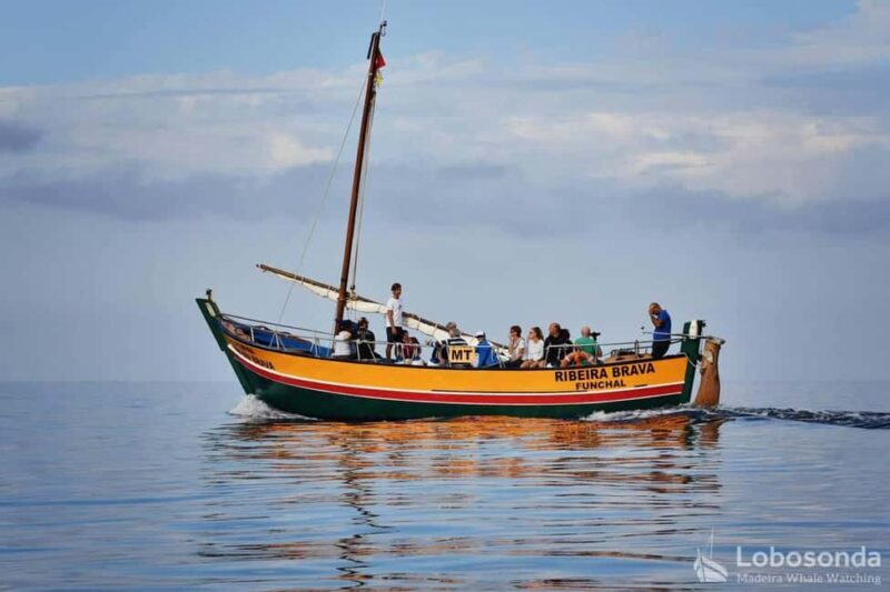 Lobosonda Ribeira Brava whale watching tour - What to Expect During the Trip