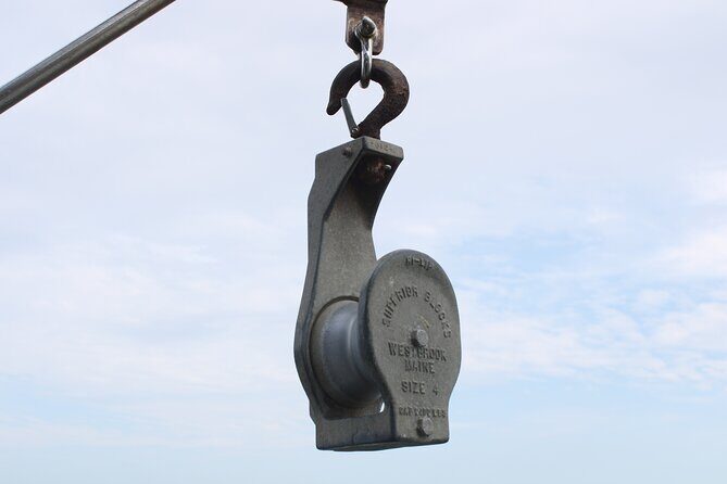 Lobstering Eco Tour - The Experience Quality and Value