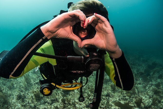 Local Dive in Playa del Carmen - What to Expect from the Playa del Carmen Local Dive