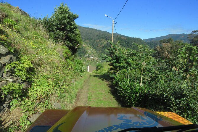 Local Farmers Market and 4WD Experience from Funchal - The Itinerary in Detail