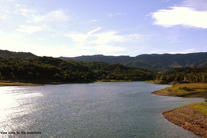LOCAL FLAVORS! Half-Day Bike Tour with Olive Oil Tasting - Frequently Asked Questions