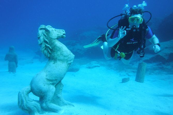 Local Guided Dives (for certified/licensed divers) - Who Is This Tour Best For?