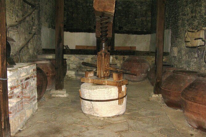 Local Wineries Tour with Wine Testing from Paphos - What We Liked and What to Consider