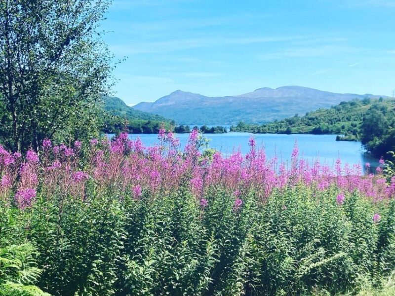 Loch Katrine Ebike Tour - The Itinerary: What You Can Expect