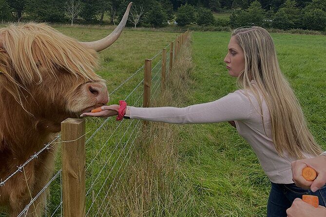 Loch Ness and Outlander Sites Tour from Inverness - A Closer Look at the Loch Ness and Outlander Sites Tour