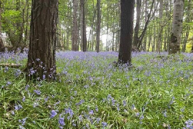 Loch Ness, Culloden, Clava and whisky/gin tour from Inverness. - FAQs