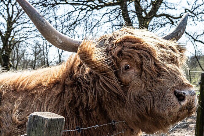 Loch Ness Private Day Tour up to 8 passengers - Averaging Out the Price and What You’re Getting