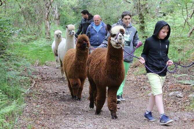 Loch Ness with Castles, Beaches, Mountains and MONSTERS - Final Thoughts