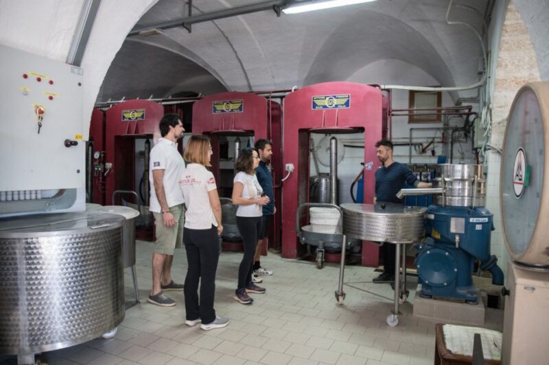 Locorotondo: Guided E-bike Tour with Olive Oil Tasting - Practical Details and Considerations