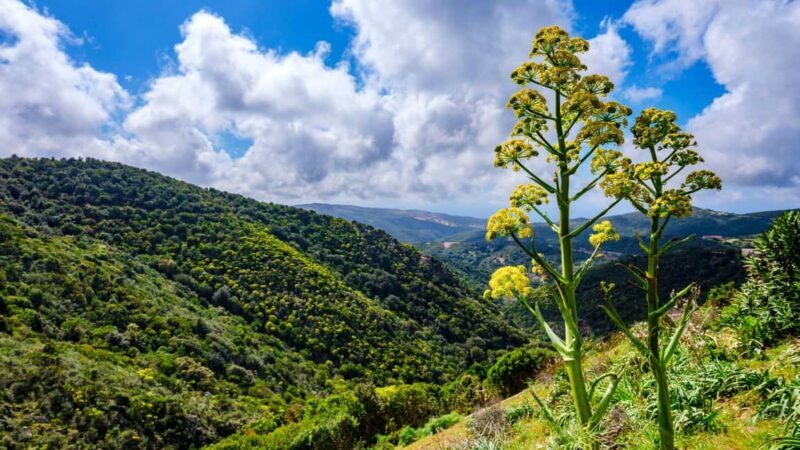 Lodè: trekking on Montalbo - FAQ