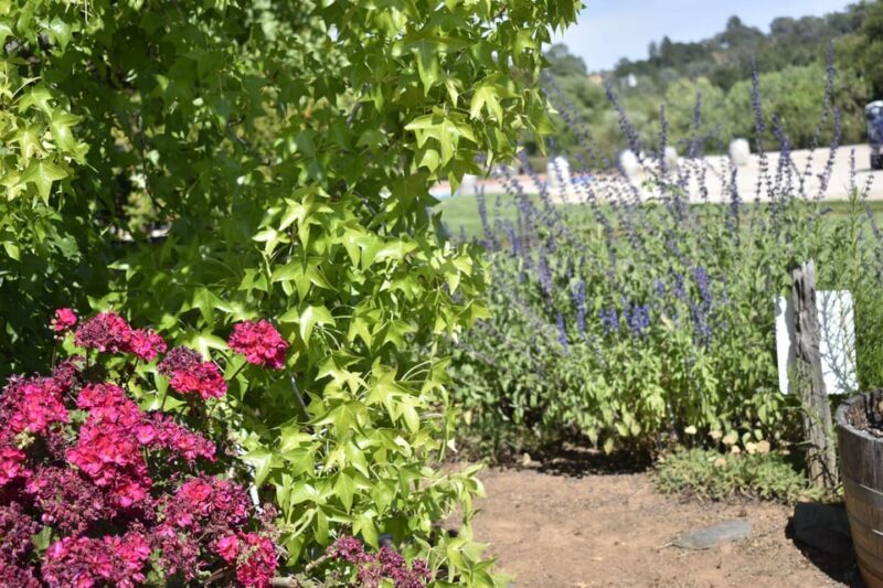 Lodi: Wine Tasting Tour Private Customized 1 -14 Group - Who Will Love This Tour?