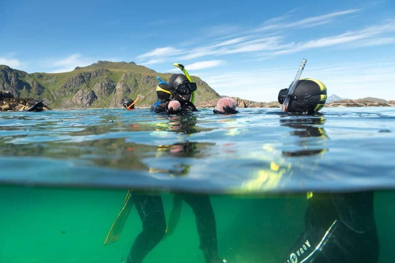 Lofoten: Family Snorkeling Tour - An In-Depth Look at the Lofoten Snorkeling Tour