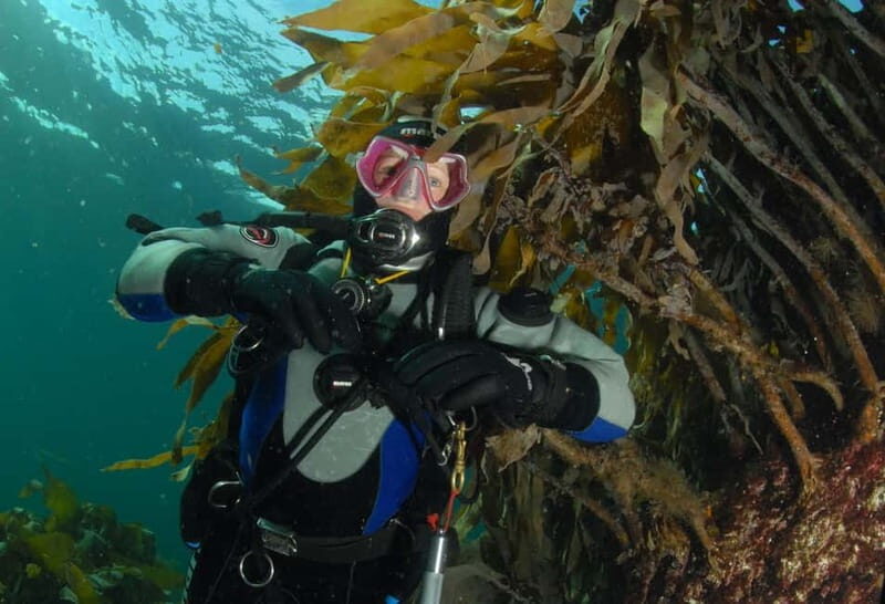 Lofoten: First Time Scuba Diving Experience - Key Points