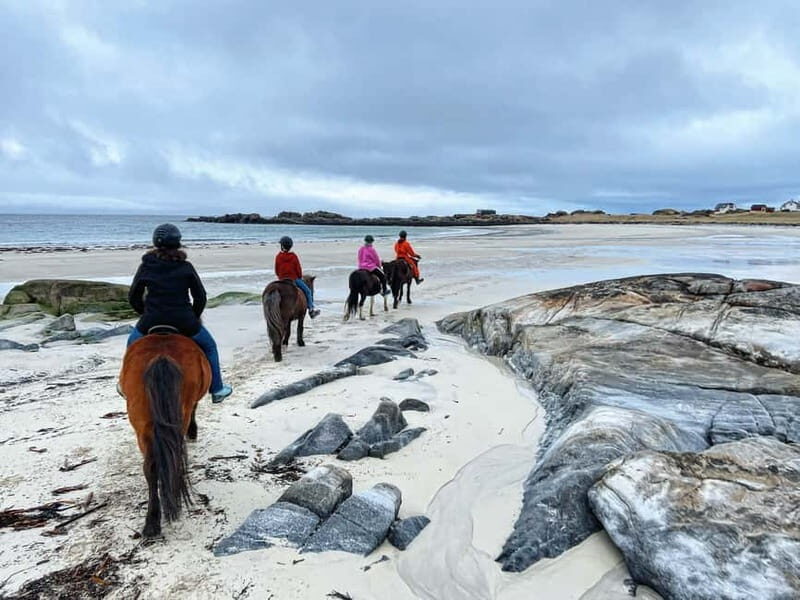 Lofoten: Guided Horse Riding Tour Over Hov and Hovsund - What to Expect from the Horseback Ride