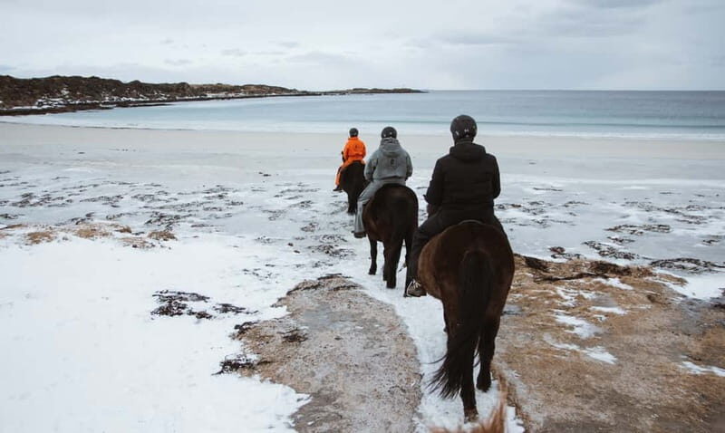 Lofoten: Guided Horse Riding Tour Over Hov and Hovsund - Who Should Consider This Tour?