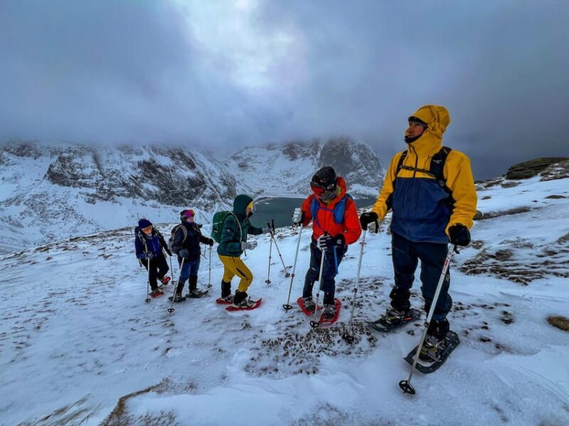 Lofoten: Half Day Snowshoe Tour - What to Expect from the Tour