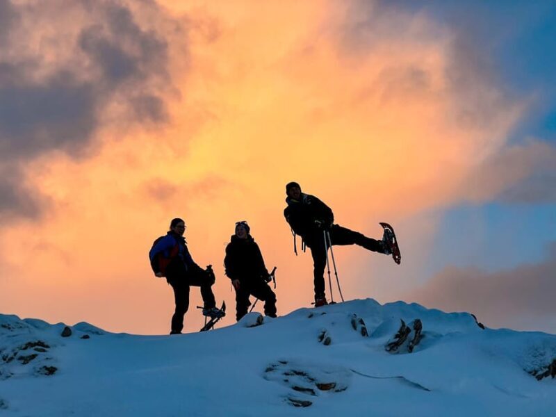 Lofoten: Half Day Snowshoe Tour - What Travelers Say