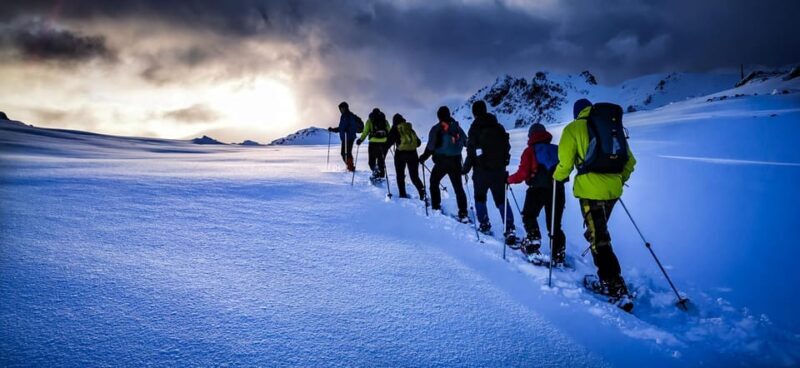 Lofoten: Half Day Snowshoe Tour - Who Is This Tour Best For?