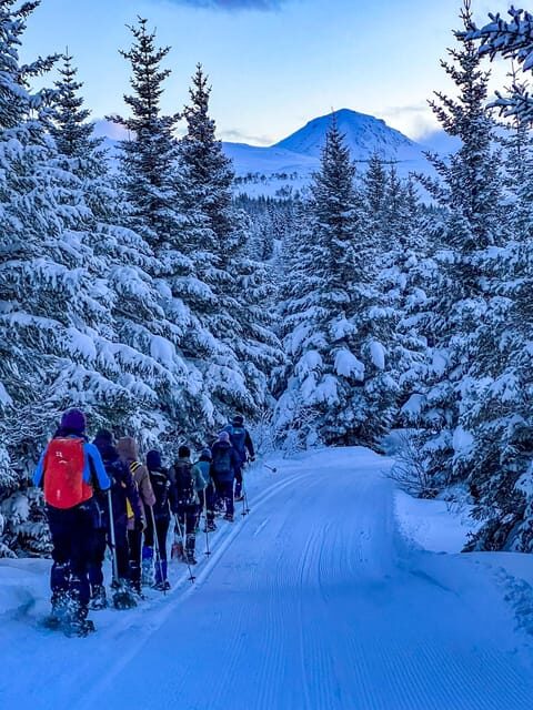 Lofoten: Half Day Snowshoe Tour - FAQ