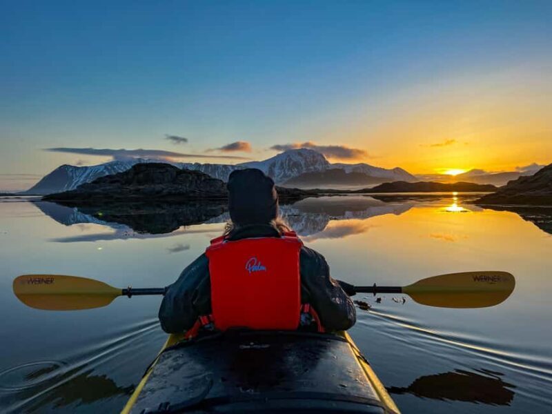 Lofoten: Half-Day Winter Kayak Adventure - Key Points