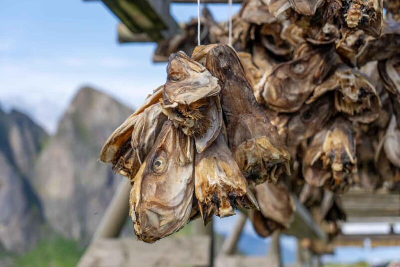 Lofoten: Hamnøy & Reine Private Photo Tour - An Honest Look at the Tour Experience