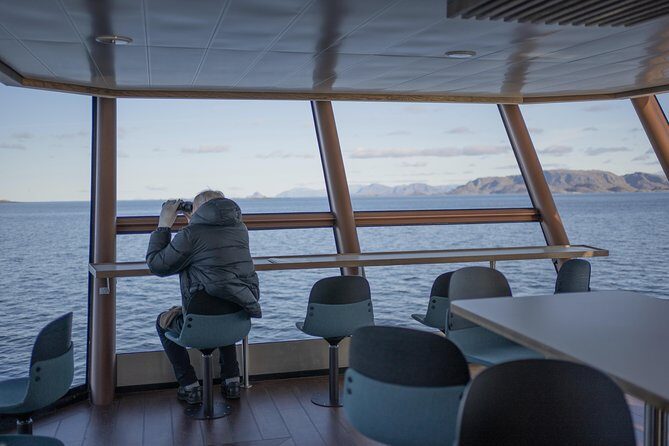 Lofoten Island: Silent Trollfjord Cruise from Svolvær - The Value Proposition