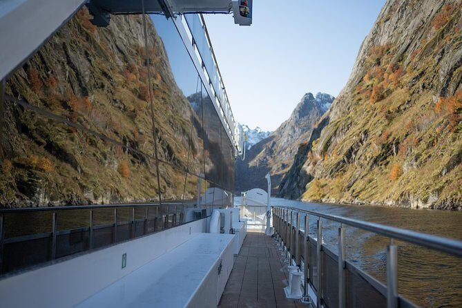 Lofoten Island: Silent Trollfjord Cruise from Svolvær - Potential Drawbacks and Considerations