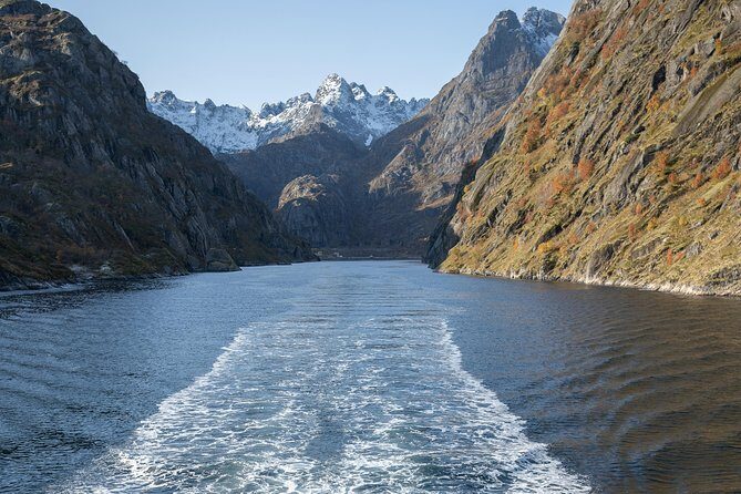 Lofoten Island: Silent Trollfjord Cruise from Svolvær - FAQs