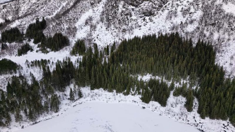 Lofoten Islands: Guided Snowshoeing Tour - Easy version - What the Tour Looks Like – A Detailed Breakdown