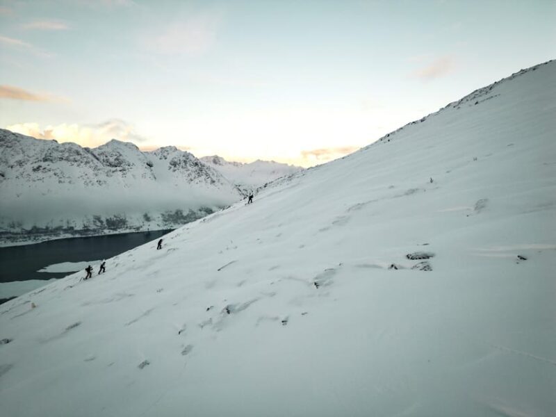 Lofoten Islands: Guided Snowshoeing Tour - Uphill version - Why This Snowshoeing Tour Stands Out