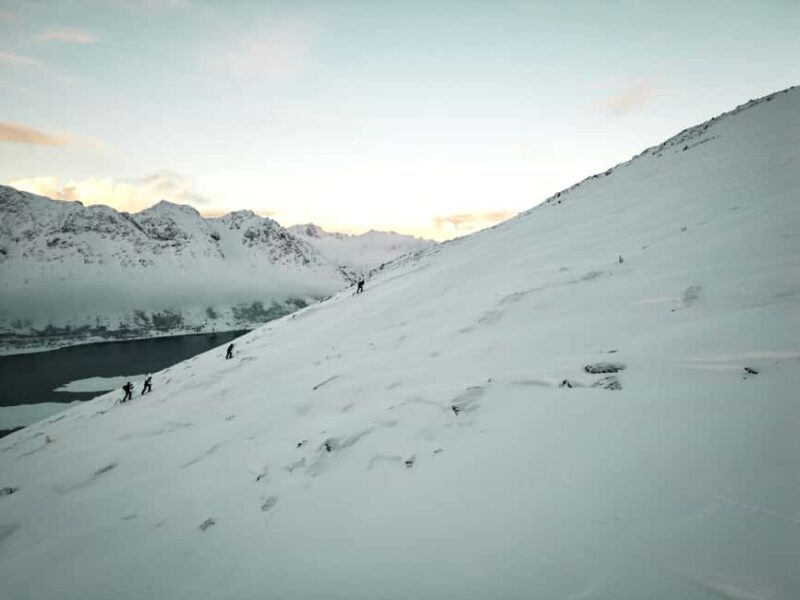 Lofoten Islands: Guided Snowshoeing Tour - Uphill version - Pricing & Overall Value